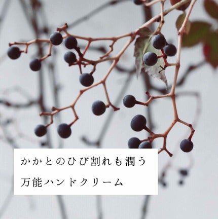 ナイトリニューハンドクリーム/コエンリッチQ10/ハンドクリームを使ったクチコミ(1枚目)