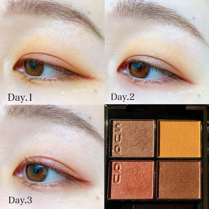 AQ アイシャドウ/DECORTÉ/単色アイシャドウを使ったクチコミ(7枚目)