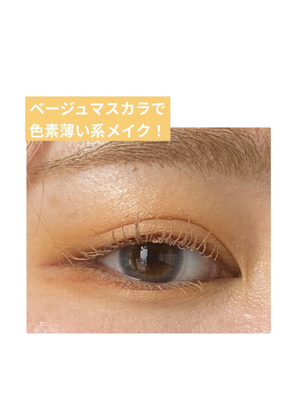 TOPARDS 1day/TOPARDS/ワンデー（１DAY）カラコンを使ったクチコミ（1枚目）