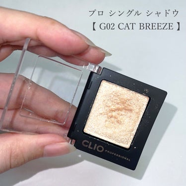 プロ シングル シャドウ G02 CAT BREEZE/CLIO/シングルアイシャドウを使ったクチコミ（2枚目）