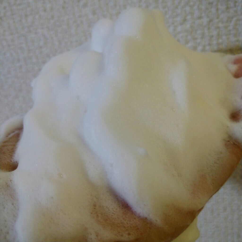 パーフェクトホワイトクレイ/SENKA(専科)/洗顔フォームを使ったクチコミ(4枚目)