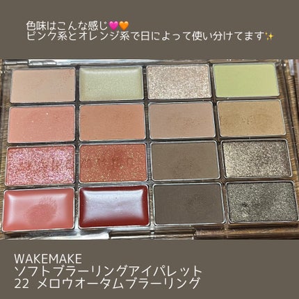 ソフトブラーリングアイパレット/wakemake/アイシャドウパレットを使ったクチコミ(2枚目)