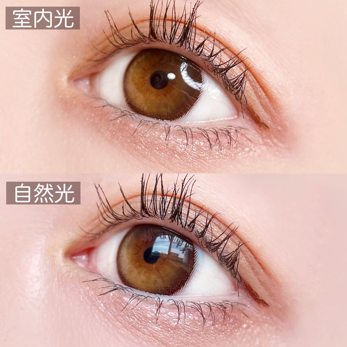 Secretive Kristen/Hapa kristin/カラーコンタクトレンズを使ったクチコミ(5枚目)