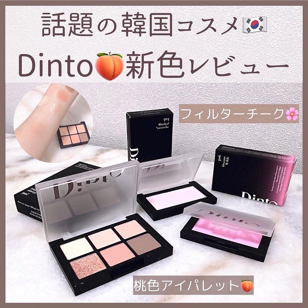 ブラーフィニシュシャドウパレット/Dinto/アイシャドウパレットを使ったクチコミ（1枚目）