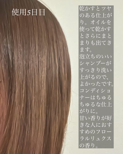 ã¶ãã¥ãŒã㣠ãªãã¢ã·ã£ã³ããŒã»ã³ã³ãã£ã·ã§ããŒ/ãšãã»ã³ã·ã£ã«/åžè²©ã·ã£ã³ããŒã䜿ã£ãã¯ãã³ãïŒ5æç®ïŒ