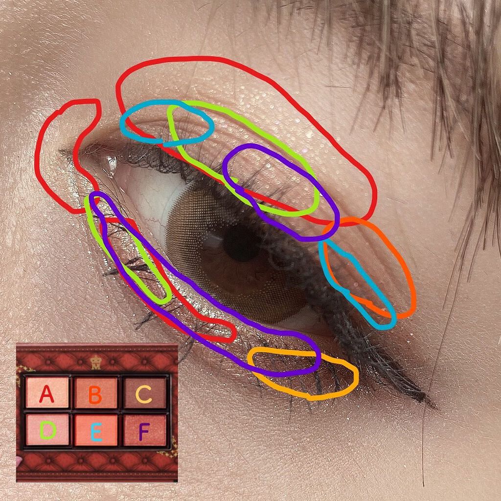 ナイストゥミーチュートランク/MAJOLICA MAJORCA/アイシャドウパレットを使ったクチコミ(4枚目)