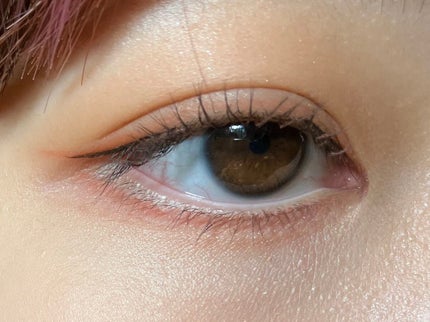 アニマルアイシャドウ(4シェード)/ZEESEA/アイシャドウパレットを使ったクチコミ(5枚目)