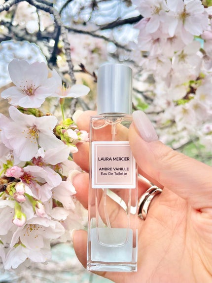 ローラ メルシエ オードトワレ N アンバーバニラ 50ml【販売終了品】 限定香水(レディース)】オードトワレ N アンバーバニラ|ローラ