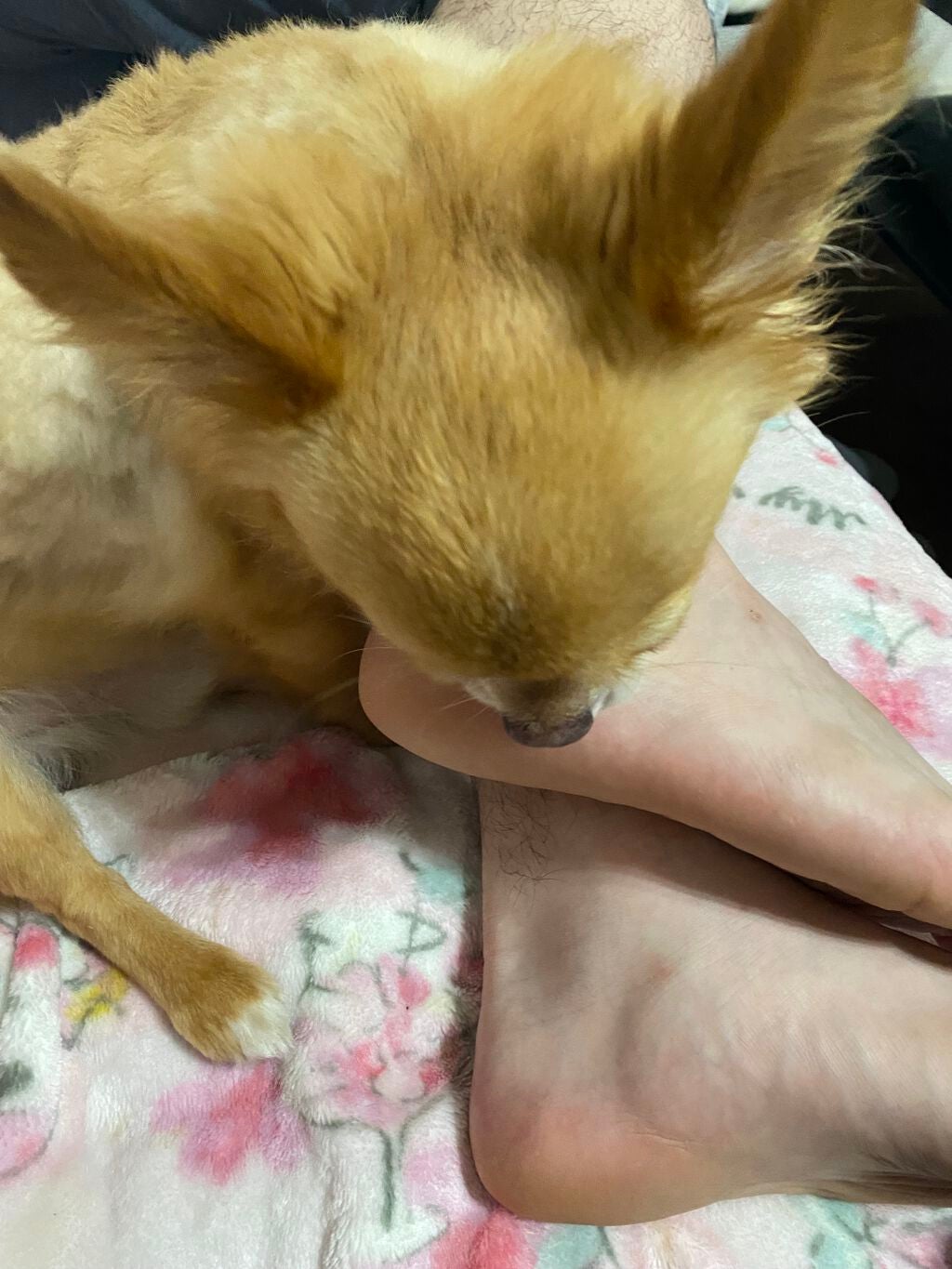 ぷぅぴぃ《紫コス部💜💗》 on LIPS 「🍎❤️🍓🍒🍉🕊🤍☁️💭(っ'-')╮=͟͟͞͞◒ポケモンセンタ..」(7枚目)