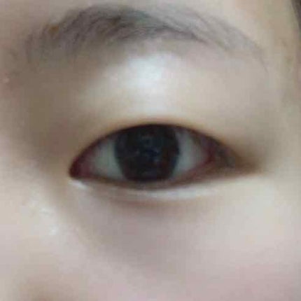 プリュドール ナチュラル/STYLE+NOBLE/二重まぶた用アイテムを使ったクチコミ(2枚目)