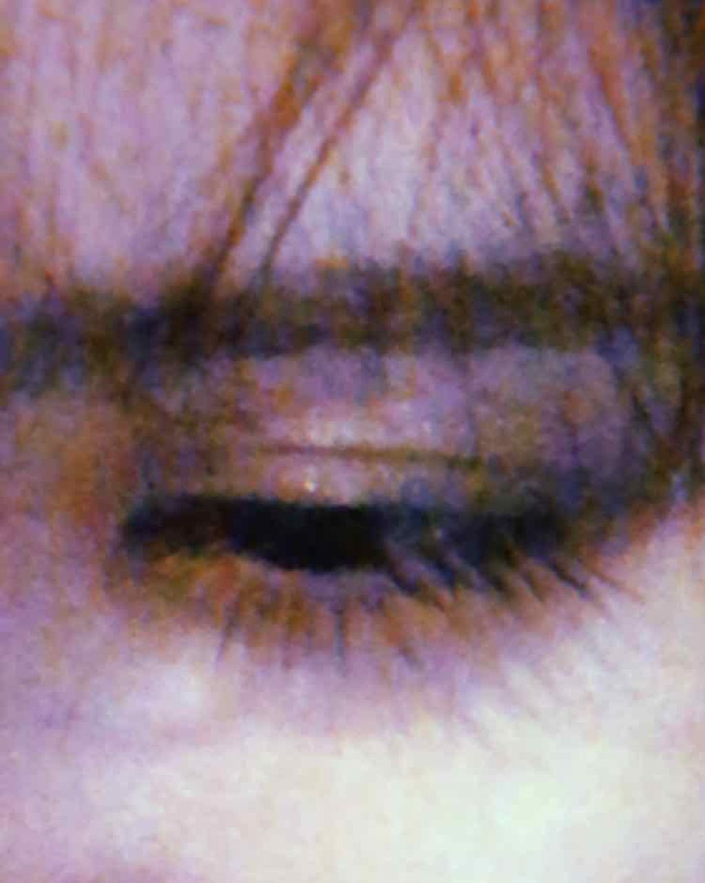 ラッシュフォーマー(ロング)/KATE/マスカラを使ったクチコミ（1枚目）