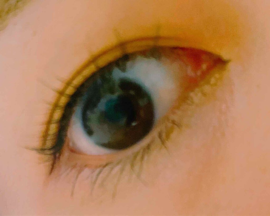 クイックラッシュカーラー/キャンメイク/マスカラ下地を使ったクチコミ(2枚目)