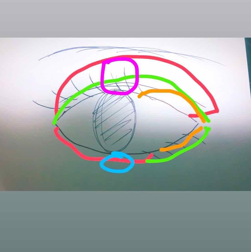 ロング＆カラード ラッシュ/excel/マスカラを使ったクチコミ（3枚目）