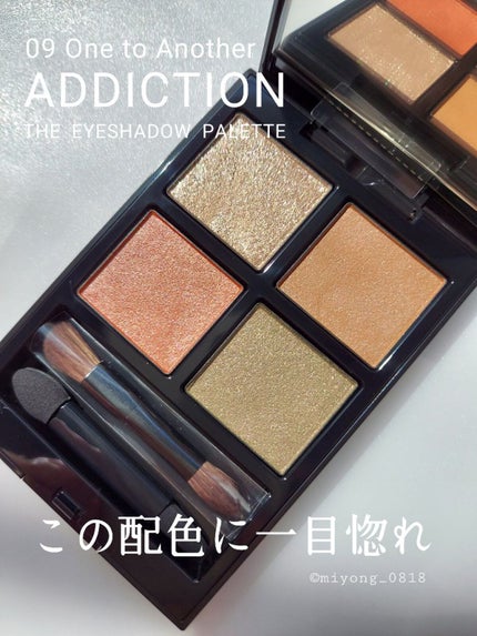 アディクション ザ アイシャドウ パレット/ADDICTION/アイシャドウパレットを使ったクチコミ(1枚目)