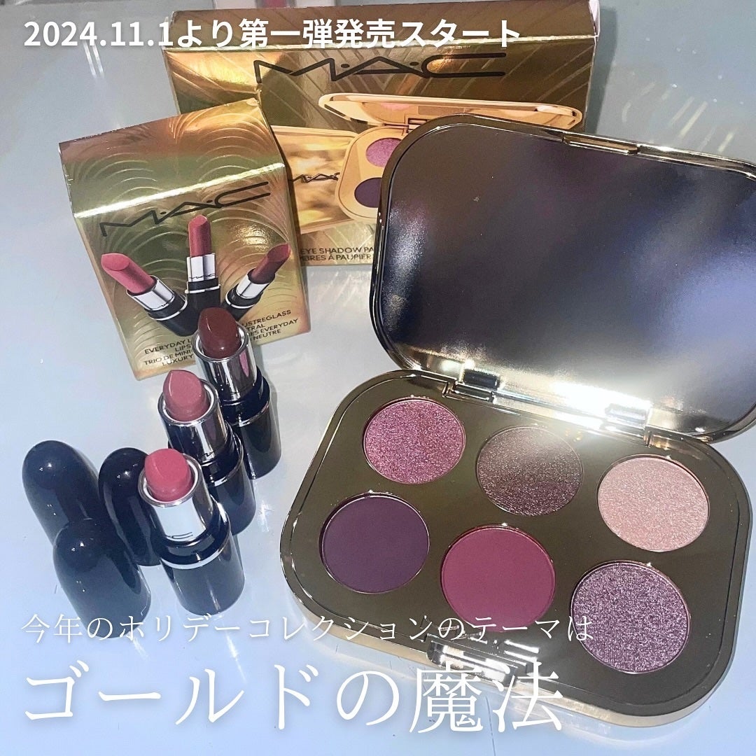 トレジャー アイシャドウ パレット ×6/M・A・C/アイシャドウパレットを使ったクチコミ(2枚目)