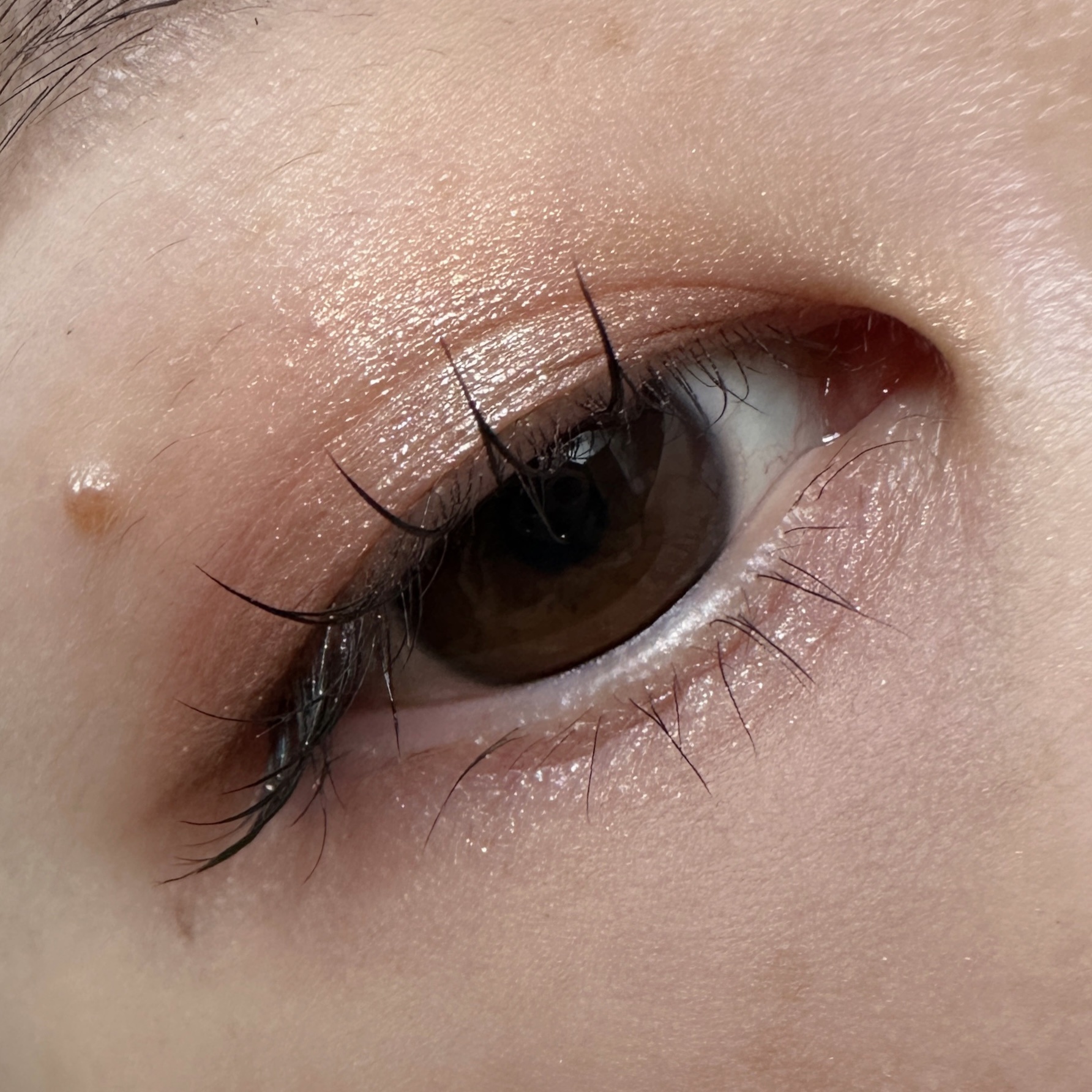 リュクスアイシャドウ L30 コスミック(リッチ スパークル)/BOBBI BROWN/単色アイシャドウを使ったクチコミ（3枚目）