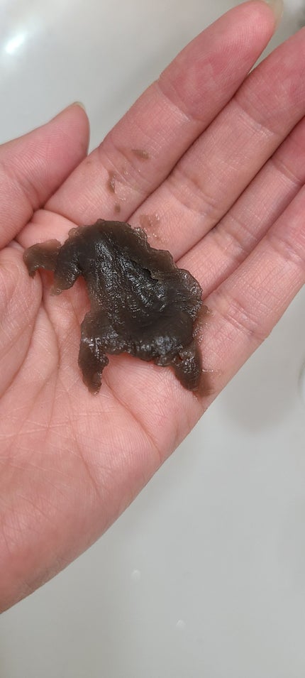 泥ジェル洗顔/ファンケル/その他洗顔料を使ったクチコミ(3枚目)