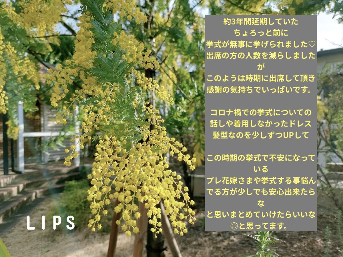 豊潤サジー/フィネス/ドリンクを使ったクチコミ（1枚目）