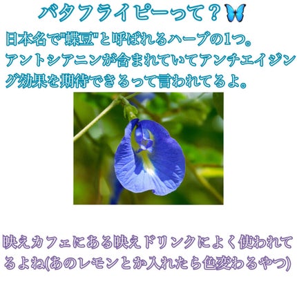 Slow Aging Cream /Ongredients/フェイスクリームを使ったクチコミ(2枚目)