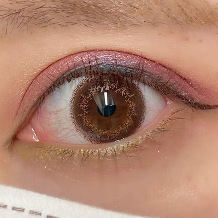 スモール アイシャドウ × 12 (ボタニック パニック)/M・A・C/アイシャドウパレットを使ったクチコミ(5枚目)