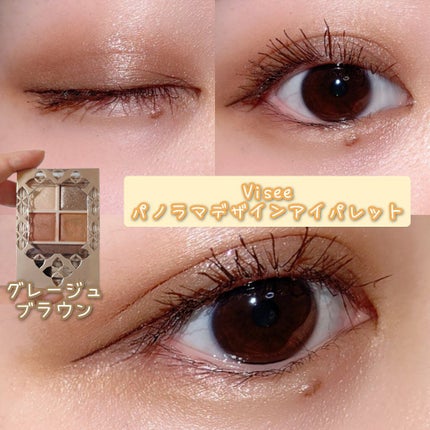 パノラマデザイン アイパレット/Visée/アイシャドウパレットを使ったクチコミ(1枚目)