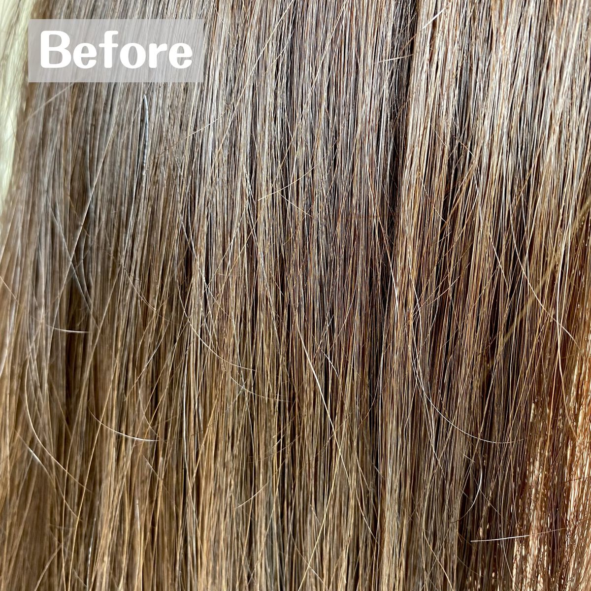 クレイクリームシャンプー（モイスト）/cocone/市販シャンプーを使ったクチコミ（3枚目）