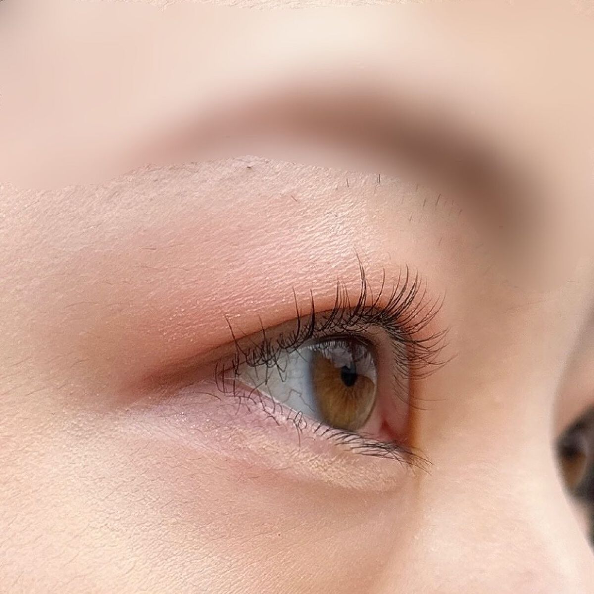 アイデザイナー/SNIDEL BEAUTY/アイシャドウパレットを使ったクチコミ(6枚目)