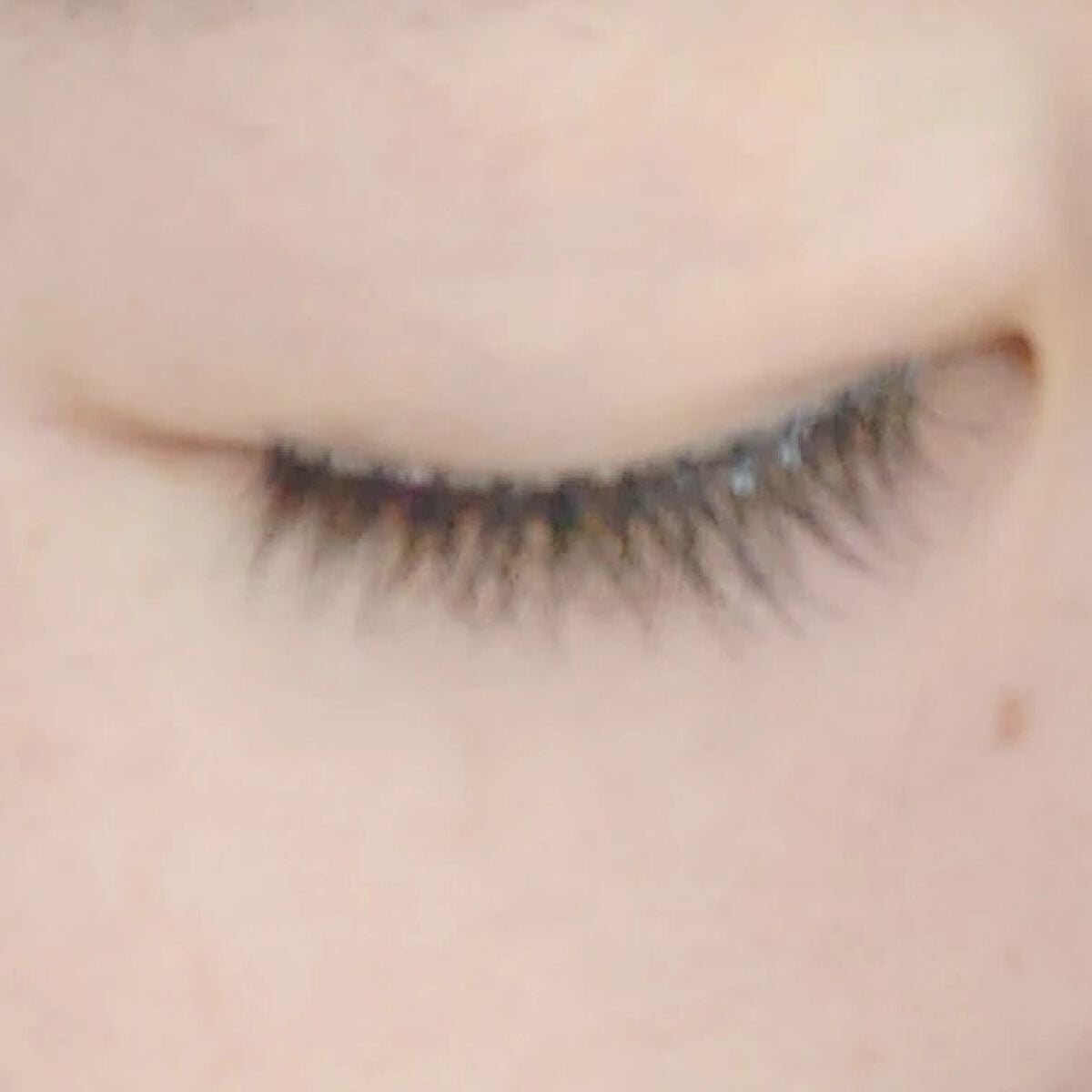 アイラッシュグルー/ミッシュブルーミン/つけまつげを使ったクチコミ(5枚目)