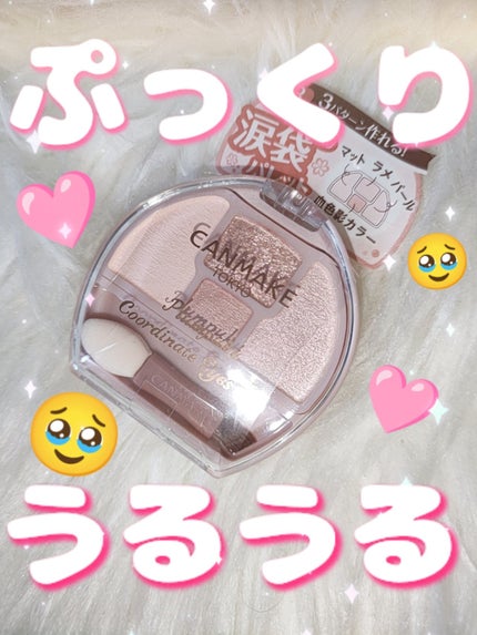 プランぷくコーデアイズ/キャンメイク/パウダーアイシャドウを使ったクチコミ(1枚目)