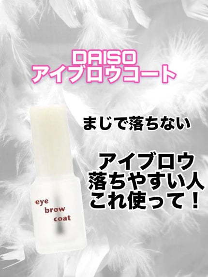 エバビレーナ アイブローコート/DAISO/アイブロウコートを使ったクチコミ(1枚目)