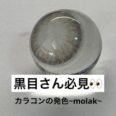 MOLAK 1day/MOLAK/ワンデー（１DAY）カラコンを使ったクチコミ（1枚目）