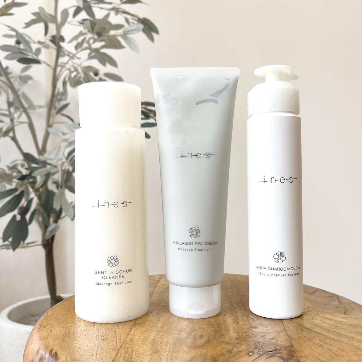 アクア チャージ ムース/ines/頭皮ローションを使ったクチコミ（1枚目）