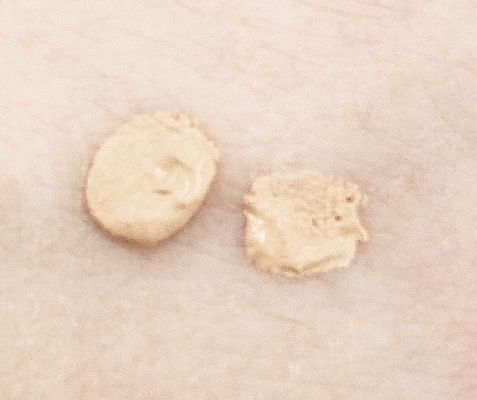 カラーステイ ロングウェア メイクアップ/REVLON/リキッドファンデーションを使ったクチコミ（2枚目）