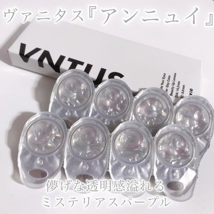 VNTUS 1day/VNTUS/ワンデー(1DAY)カラコンを使ったクチコミ(2枚目)