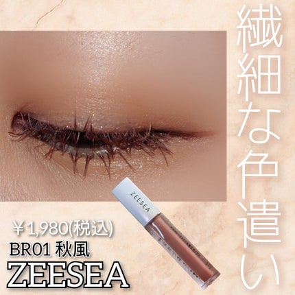 ダイヤモンドシリーズ 星空リキッドアイシャドウ BR 01 秋風/ZEESEA/リキッドアイシャドウの画像