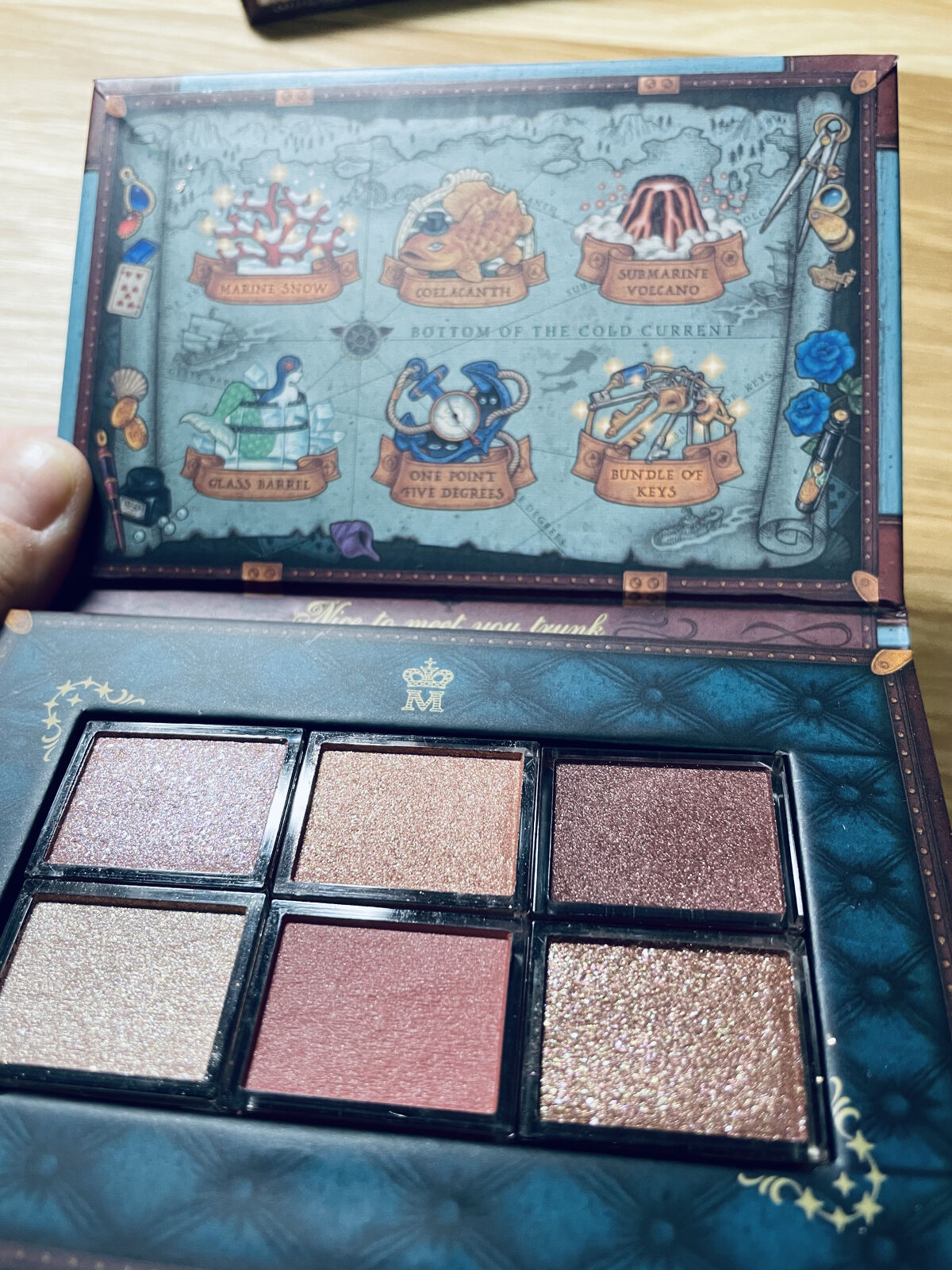 ナイストゥミーチュートランク ダスティピンク 寒流の底/MAJOLICA MAJORCA/アイシャドウパレットを使ったクチコミ（1枚目）