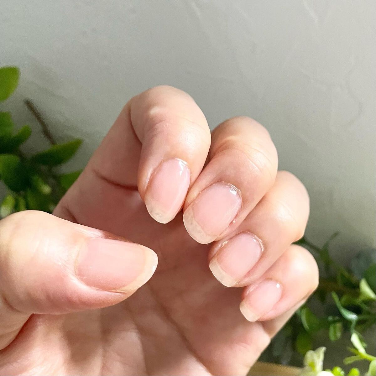 チャームスティックジェル #10 ベビーピンク/OMD/オールインワンネイルを使ったクチコミ（3枚目）