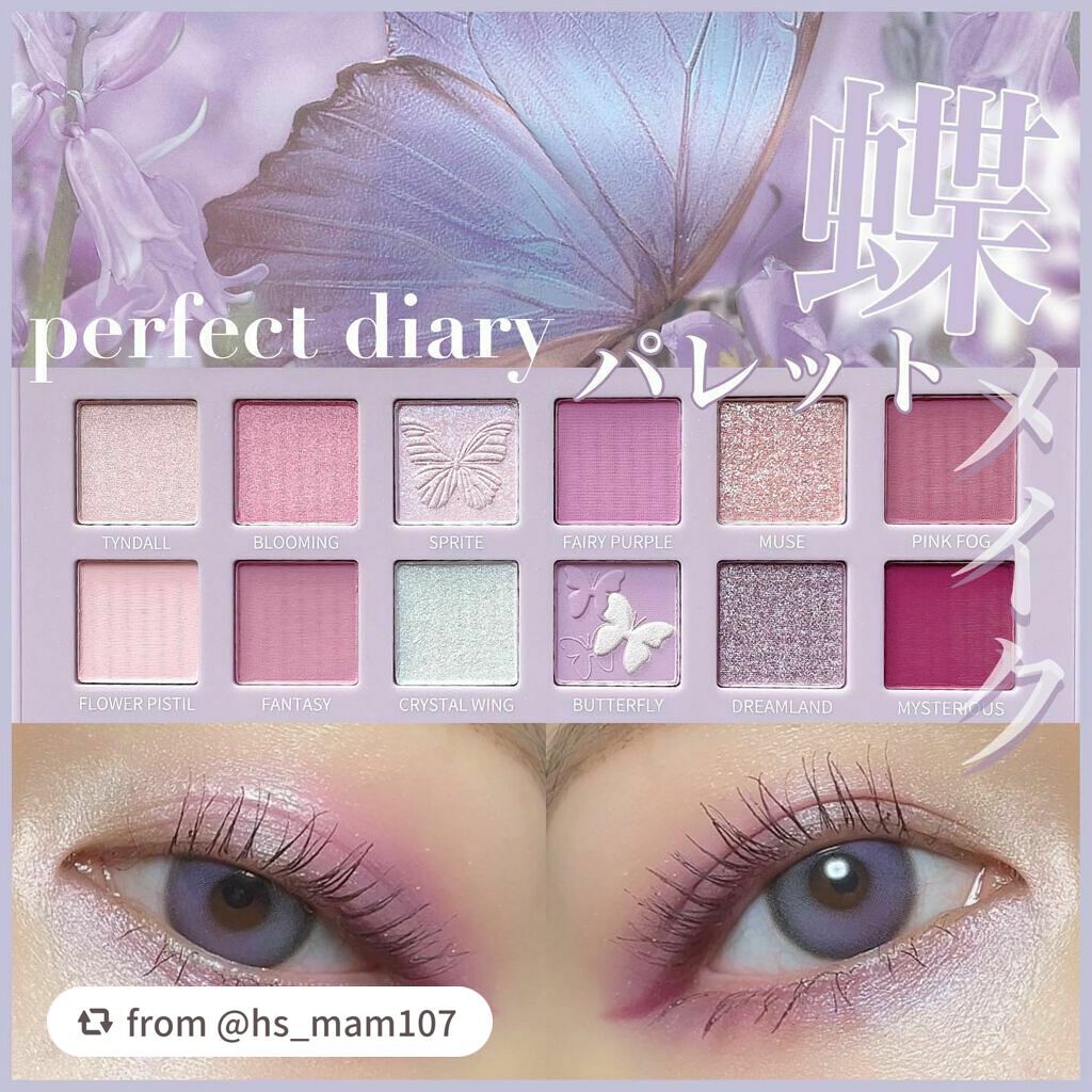エクスプローラ12色 動物アイシャドウパレット/PERFECT DIARY/アイシャドウパレットを使ったクチコミ(1枚目)