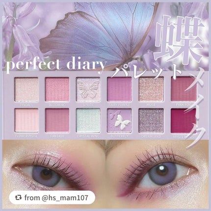 エクスプローラ12色 動物アイシャドウパレット/PERFECT DIARY/アイシャドウパレットを使ったクチコミ(1枚目)