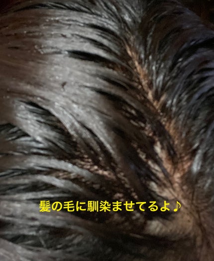 カラートリートメント/サイオス/ヘアカラーを使ったクチコミ(4枚目)