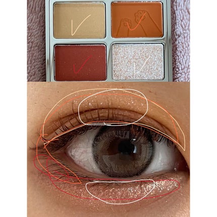 アニマルアイシャドウ(4シェード)/ZEESEA/アイシャドウパレットを使ったクチコミ(2枚目)