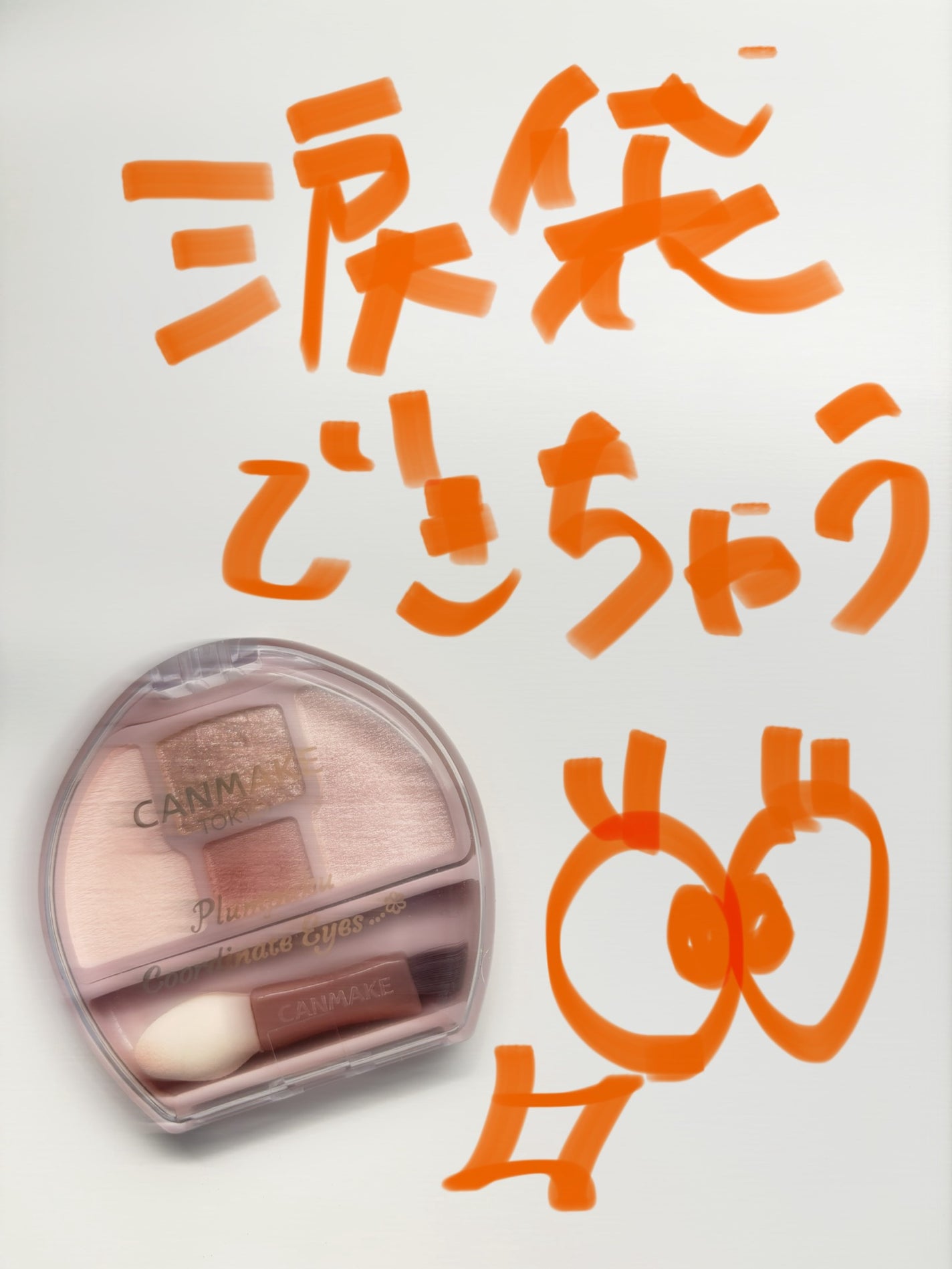 プランぷくコーデアイズ/キャンメイク/パウダーアイシャドウを使ったクチコミ(1枚目)