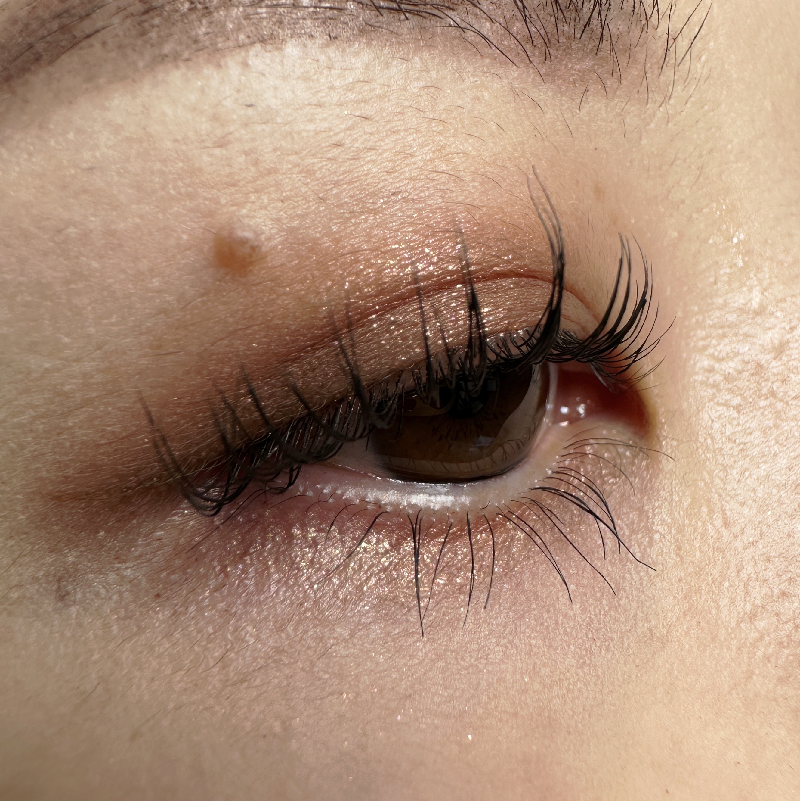 パーフェクトエクステンション マスカラ/D-UP/マスカラを使ったクチコミ（3枚目）