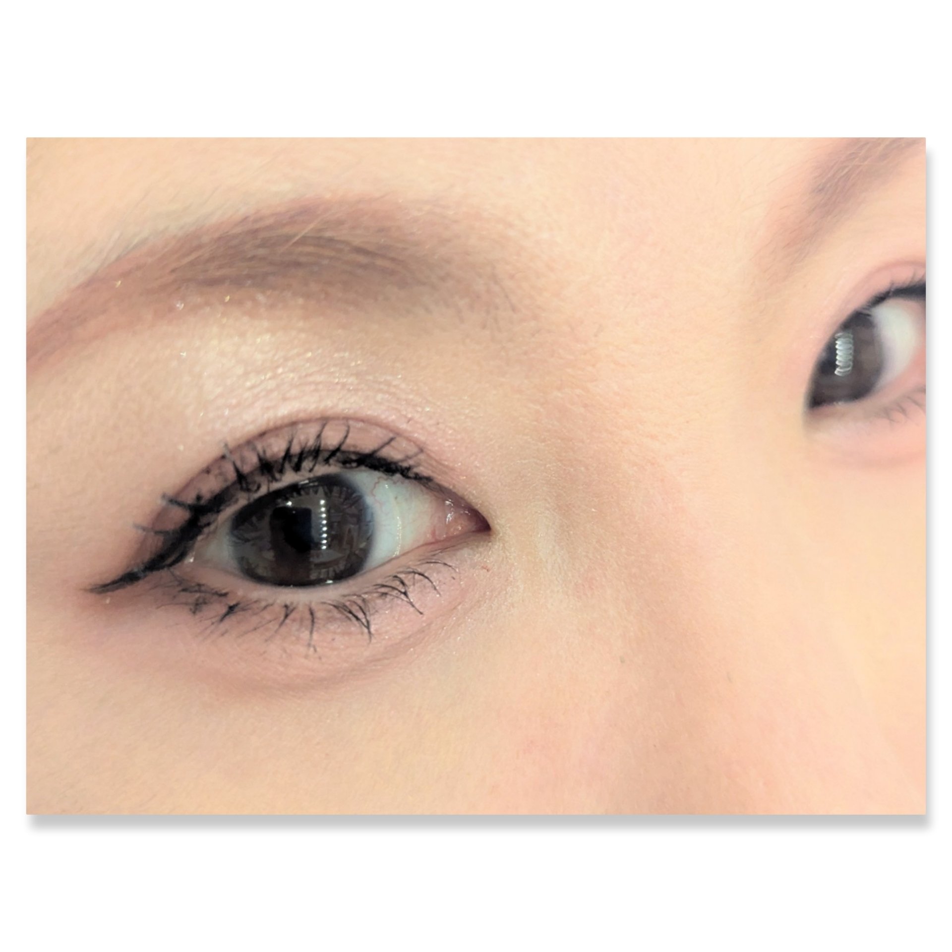 ベージュトーンアイシャドウ/CEZANNE/アイシャドウパレットを使ったクチコミ（2枚目）