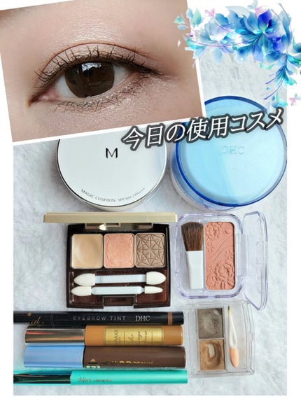 シングルカラー アイシャドウ T01/DHC/アイシャドウパレットの画像