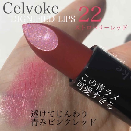 ディグニファイド リップス/Celvoke/口紅を使ったクチコミ(1枚目)