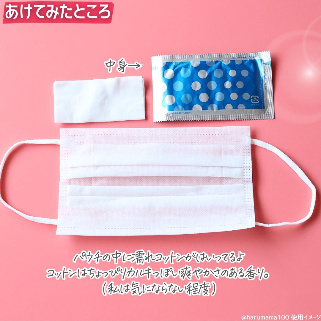 プリーツガード 保湿快適ぬれキープマスク/ピップ/マスクを使ったクチコミ(3枚目)