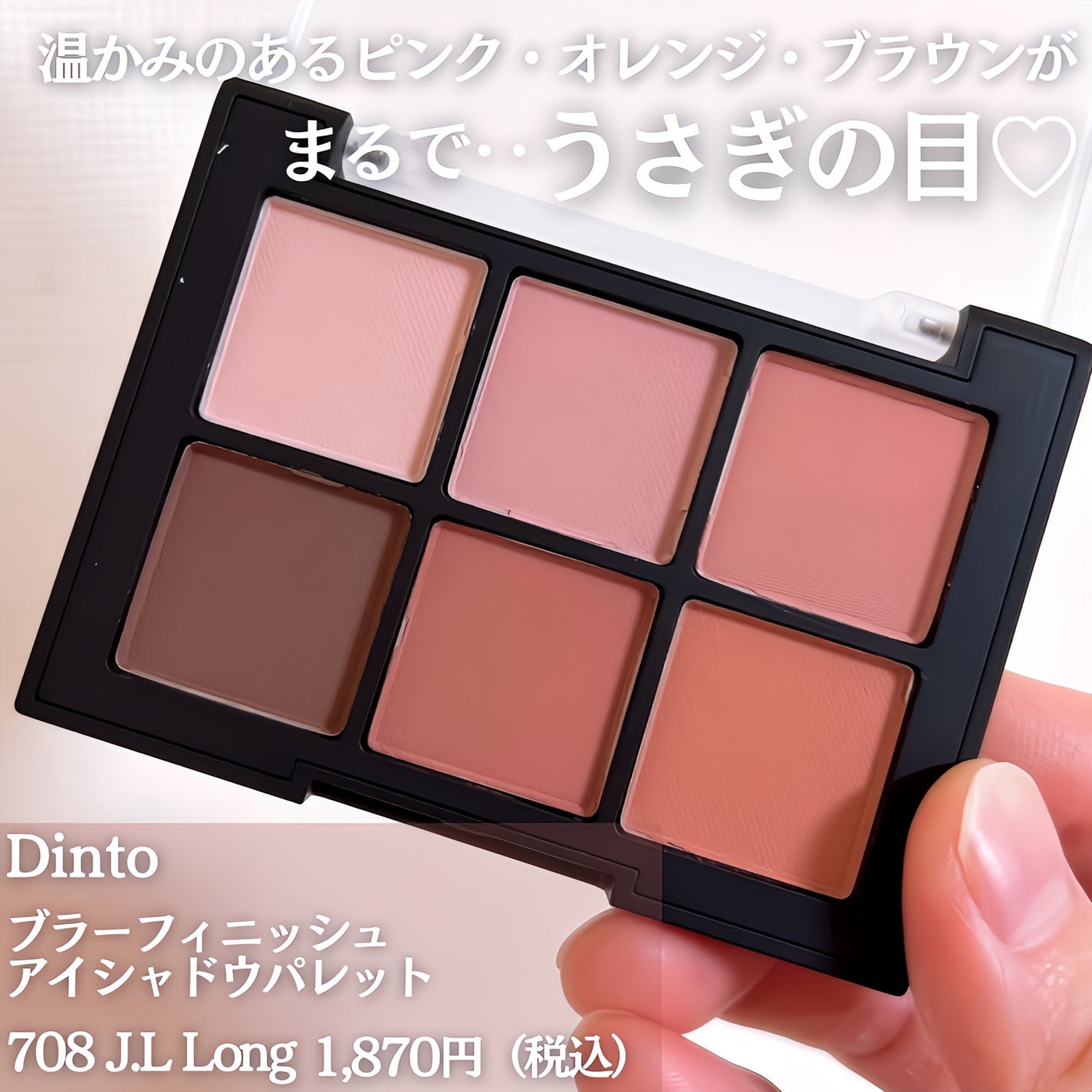 ブラーフィニシュシャドウパレット/Dinto/アイシャドウパレットを使ったクチコミ(2枚目)