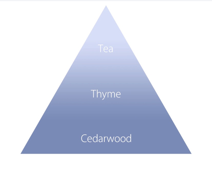 オハナ・マハロ フレグランス ハンドクリーム ペアキナ ラーカウ/OHANA MAHAALO/ハンドクリームを使ったクチコミ（2枚目）