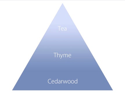 OHANA MAHAALO オハナ・マハロ フレグランス ハンドクリーム ペアキナ ラーカウのクチコミ「OHANA MAHAALO
フレグランス ハンドクリーム ペアキナラーカウ
前から気になって.....」(2枚目)